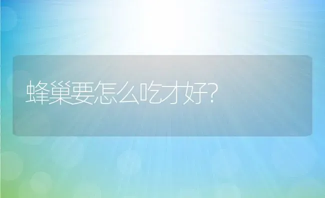 蜂巢要怎么吃才好？ | 动物养殖百科