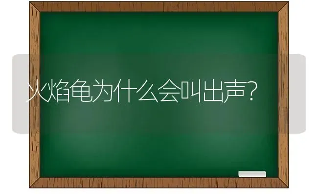 火焰龟为什么会叫出声？ | 动物养殖问答