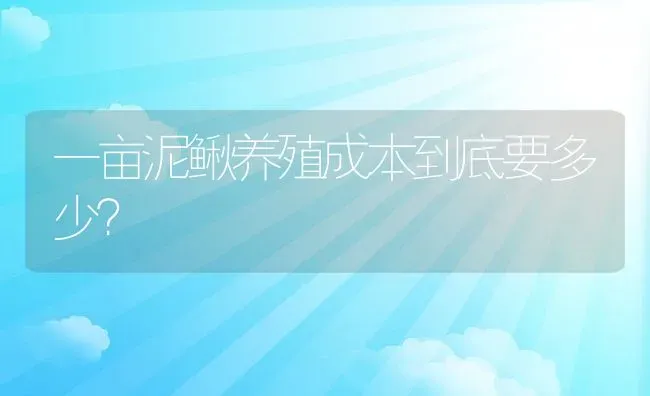 一亩泥鳅养殖成本到底要多少？ | 动物养殖百科