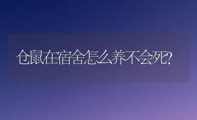 仓鼠在宿舍怎么养不会死？ | 动物养殖问答