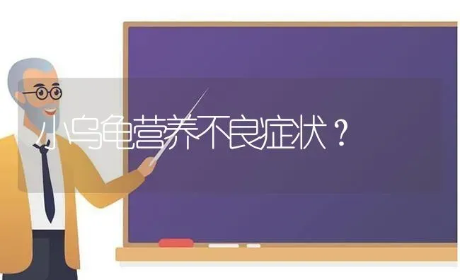 小体比熊能长多少斤？ | 动物养殖问答