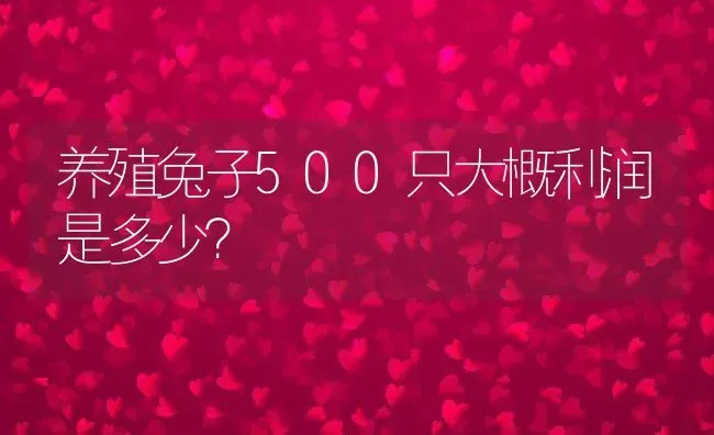 养殖兔子500只大概利润是多少？ | 动物养殖百科