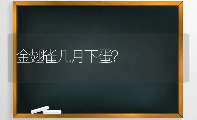 金翅雀几月下蛋？ | 动物养殖问答