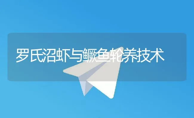 罗氏沼虾与鳜鱼轮养技术 | 动物养殖饲料