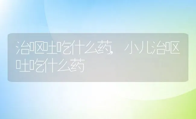 治呕吐吃什么药,小儿治呕吐吃什么药 | 宠物百科知识