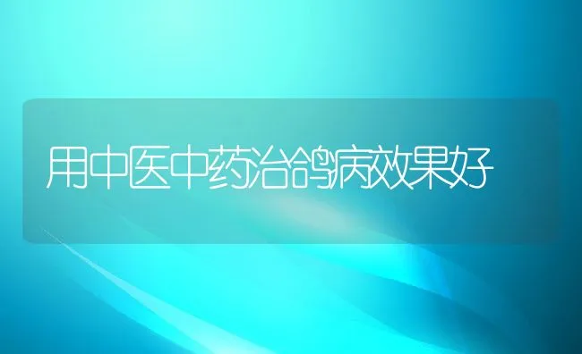 用中医中药治鸽病效果好 | 水产养殖知识