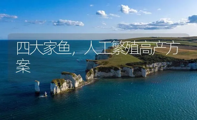 四大家鱼，人工繁殖高产方案 | 海水养殖技术