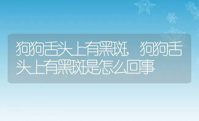 狗狗舌头上有黑斑,狗狗舌头上有黑斑是怎么回事 | 宠物百科知识