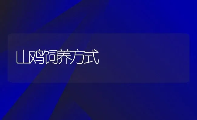 山鸡饲养方式 | 动物养殖教程