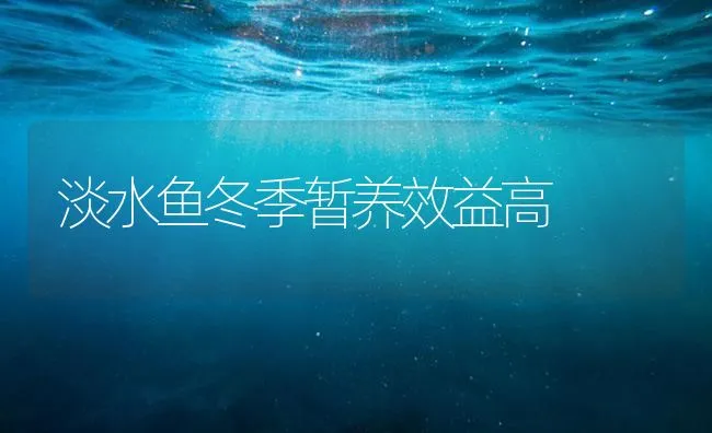 淡水鱼冬季暂养效益高 | 海水养殖技术