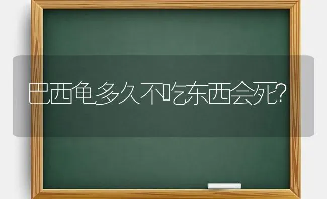 巴西龟多久不吃东西会死？ | 动物养殖问答