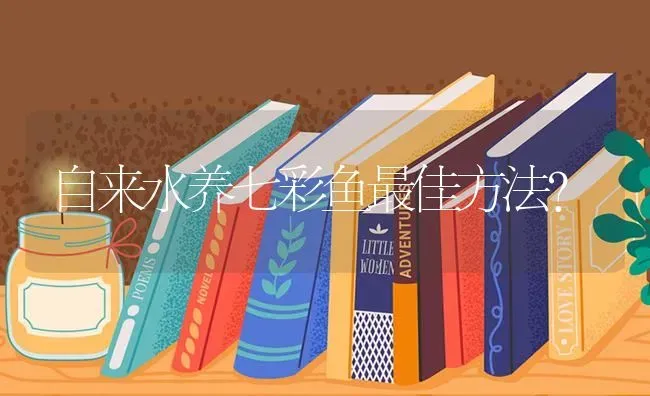 自来水养七彩鱼最佳方法？ | 鱼类宠物饲养