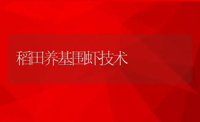 稻田养基围虾技术 | 动物养殖饲料