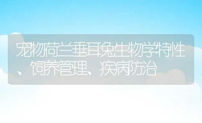 宠物荷兰垂耳兔生物学特性、饲养管理、疾病防治 | 动物养殖百科