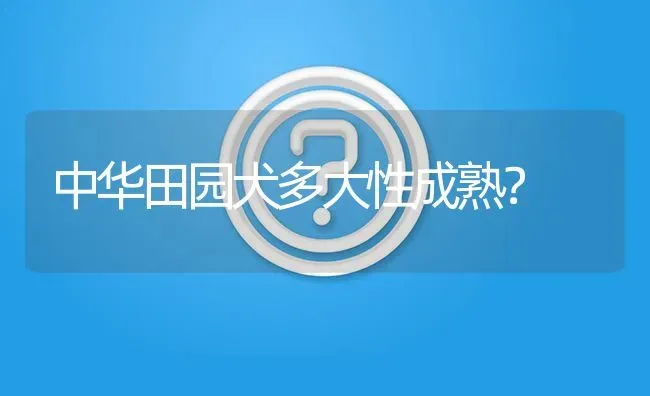 中华田园犬多大性成熟？ | 动物养殖问答