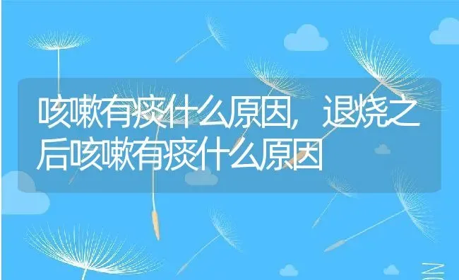 咳嗽有痰什么原因,退烧之后咳嗽有痰什么原因 | 宠物百科知识