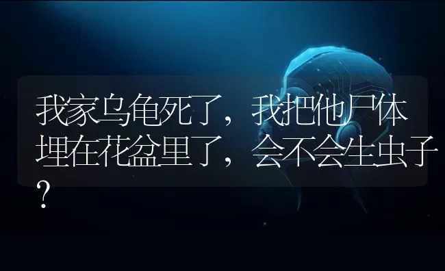 我家乌龟死了，我把他尸体埋在花盆里了，会不会生虫子？ | 动物养殖问答