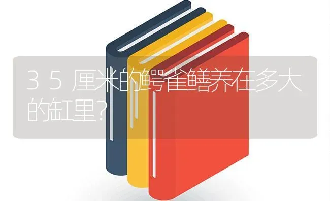 35厘米的鳄雀鳝养在多大的缸里？ | 鱼类宠物饲养