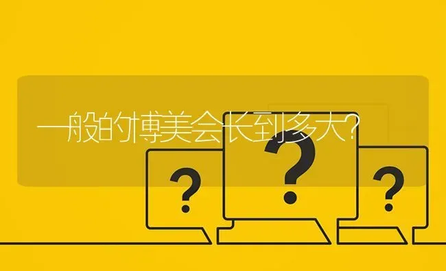 一般的博美会长到多大？ | 动物养殖问答