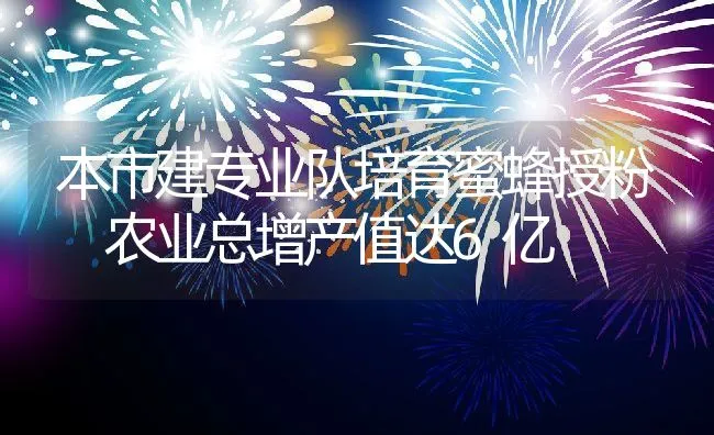 本市建专业队培育蜜蜂授粉 农业总增产值达6亿 | 动物养殖饲料