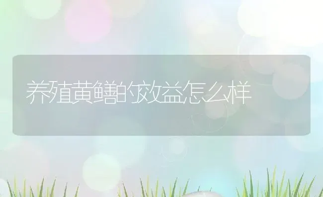 养殖黄鳝的效益怎么样 | 动物养殖百科