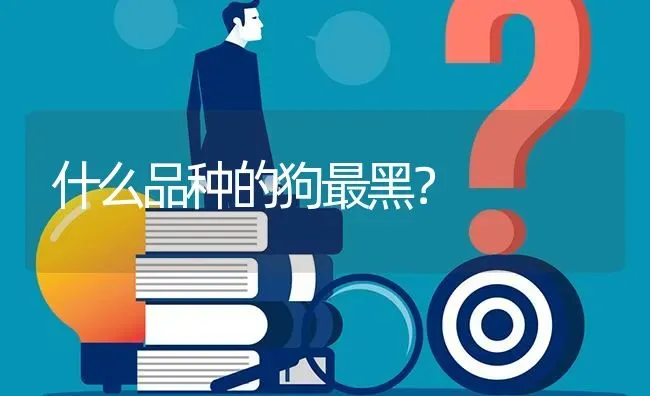 什么品种的狗最黑？ | 动物养殖问答