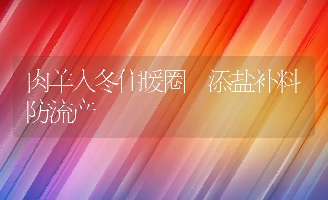 肉羊入冬住暖圈 添盐补料防流产 | 动物养殖学堂