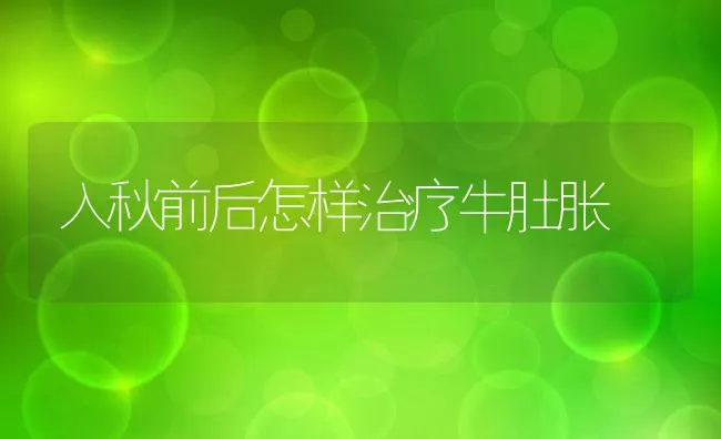 入秋前后怎样治疗牛肚胀 | 动物养殖学堂