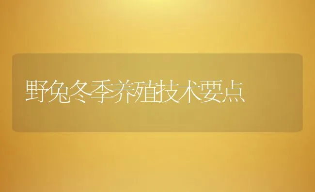 野兔冬季养殖技术要点 | 动物养殖学堂