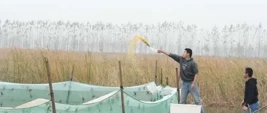 河道养蟹要做好水质监控