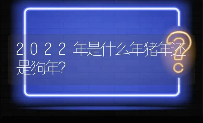 2022年是什么年猪年还是狗年？ | 动物养殖问答