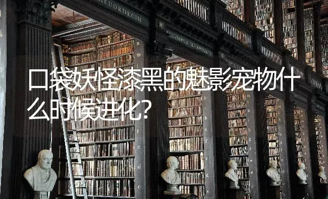 口袋妖怪漆黑的魅影宠物什么时候进化？ | 动物养殖问答