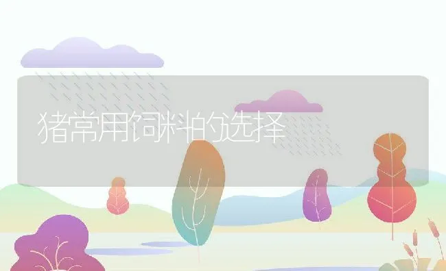 怎样辨别鸽子年龄？ | 动物养殖学堂