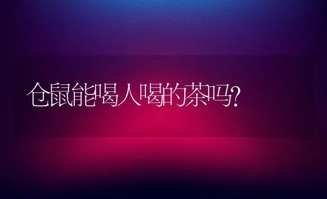 仓鼠能喝人喝的茶吗？ | 动物养殖问答