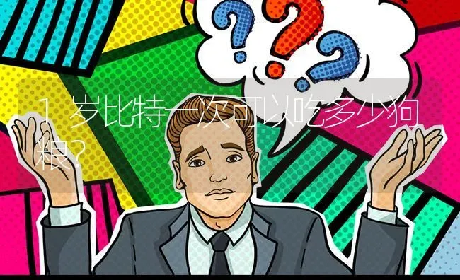 1岁比特一次可以吃多少狗粮？ | 动物养殖问答