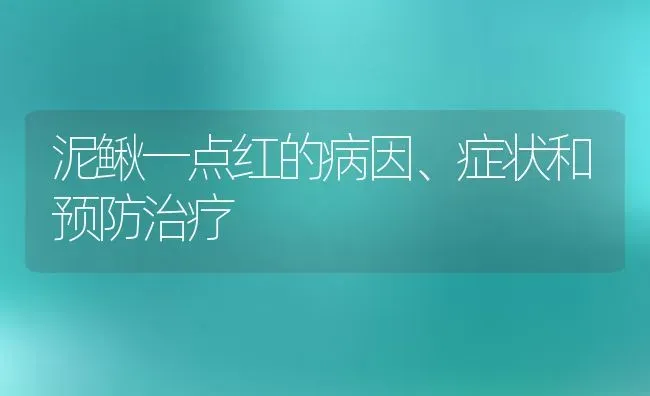 泥鳅一点红的病因、症状和预防治疗 | 动物养殖百科