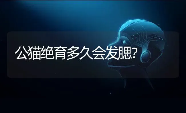 公猫绝育多久会发腮？ | 动物养殖问答