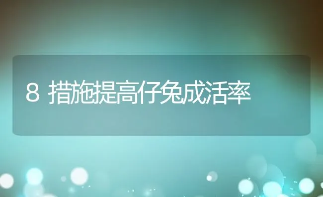 8措施提高仔兔成活率 | 水产养殖知识