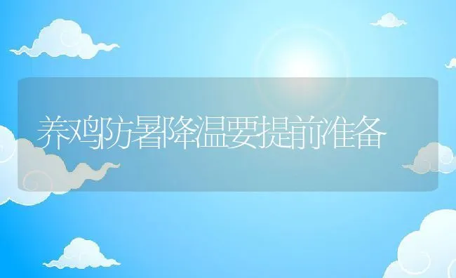 养鸡防暑降温要提前准备 | 动物养殖学堂