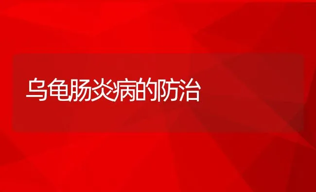 鳜鱼养殖之病害防治技术 | 海水养殖技术