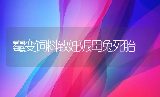 霉变饲料致妊娠母兔死胎 | 动物养殖饲料