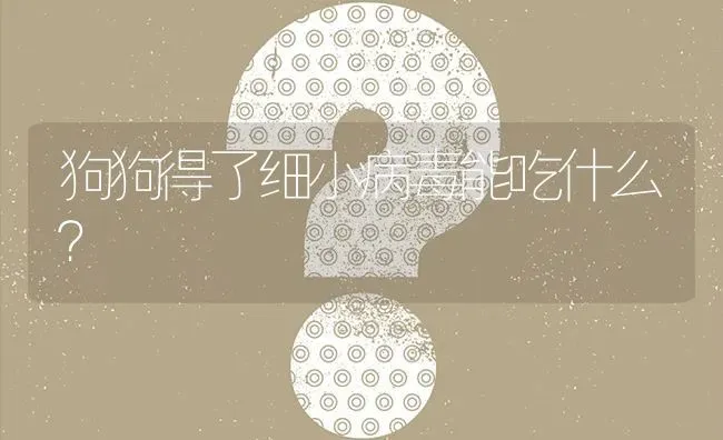 狗狗得了细小病毒能吃什么？ | 动物养殖问答