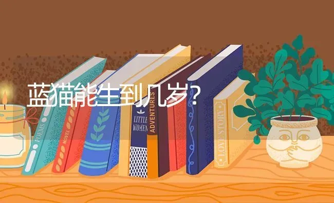 为什么小猫睡觉时候随便怎么撸都不生气？ | 动物养殖问答