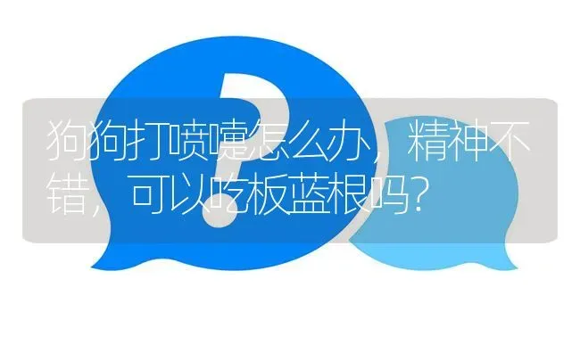 一岁多的博美还能改名字吗？ | 动物养殖问答