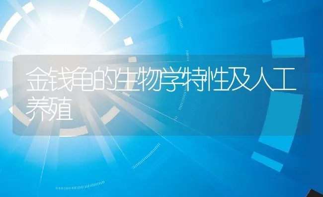 金钱龟的生物学特性及人工养殖 | 动物养殖饲料