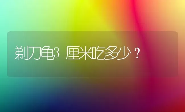 剃刀龟3厘米吃多少？ | 动物养殖问答