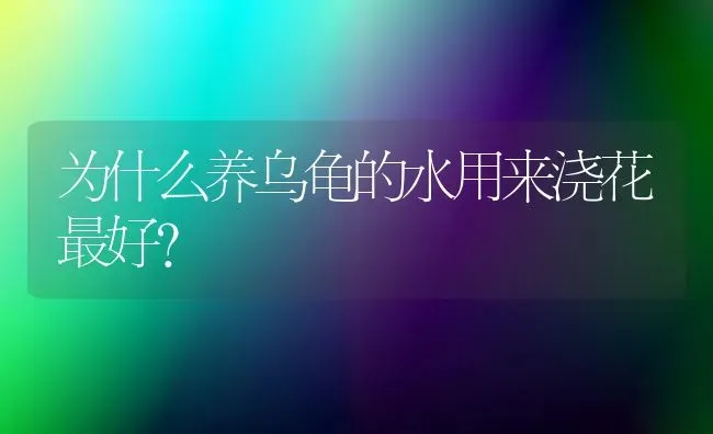 为什么养乌龟的水用来浇花最好？ | 动物养殖问答