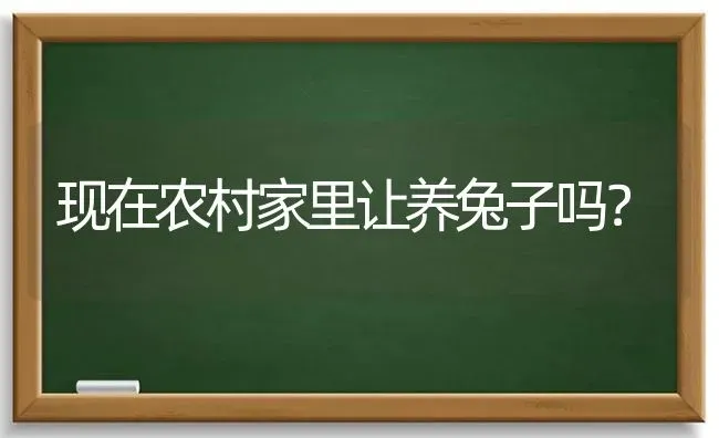 现在农村家里让养兔子吗？ | 动物养殖问答