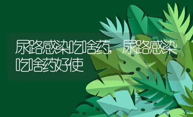 尿路感染吃啥药,尿路感染吃啥药好使 | 宠物百科知识