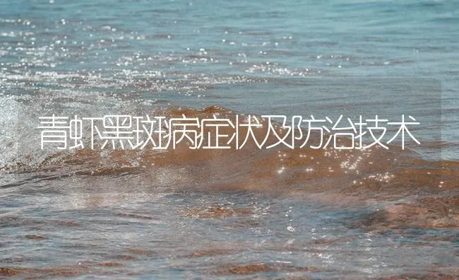 青虾黑斑病症状及防治技术 | 海水养殖技术